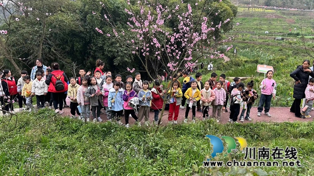 泸县百和镇这所学校把课堂搬进了大自然！