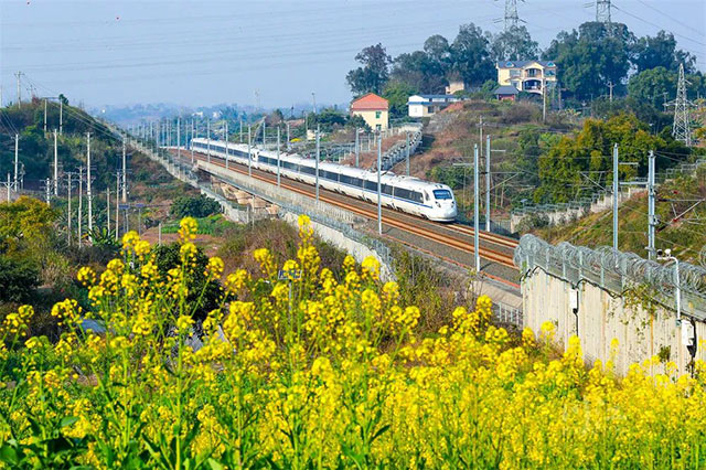 泸州加开多趟班列，涉及成都、峨眉山方向