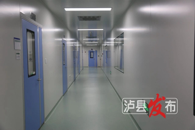 赞赞赞!又一批“泸县制造”即将上新啦(图2) 2.jpg