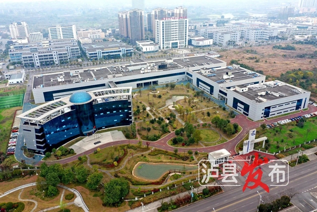 赞赞赞!又一批“泸县制造”即将上新啦(图9) 9.jpg