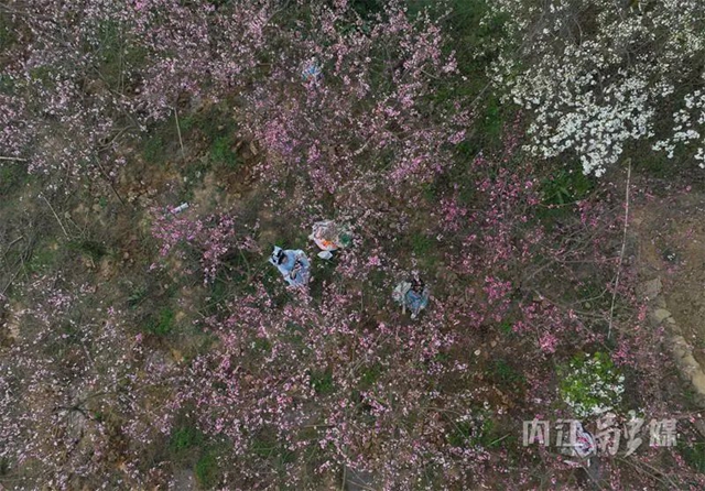 微信图片_20240401092446.jpg