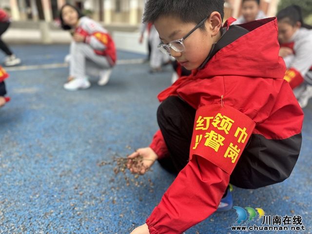 泸县城北小学校：学生管理自主化 校园遍开和谐花
