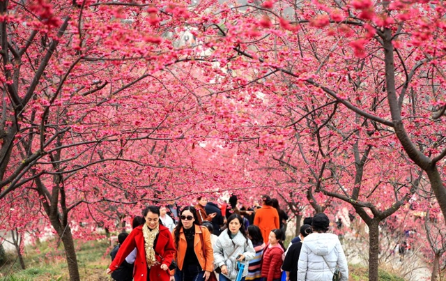 泸州发布乡村旅游四季精品线路，从年初耍到年底……