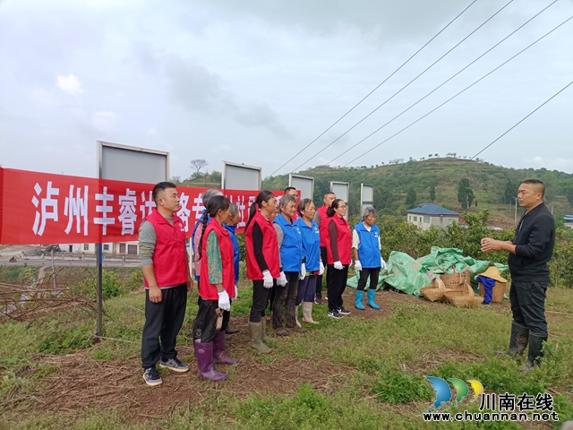 泸县云锦镇：春耕农忙季，“小张”有点忙