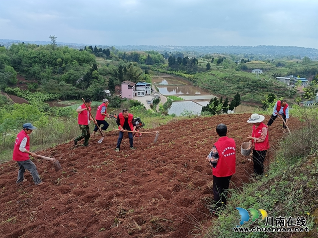 泸州丰睿达劳务专合社社员在泸县父爱隆家家庭农场播种.jpg