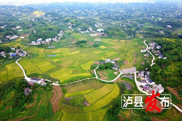 全省仅4个，全市唯一！泸县上榜啦