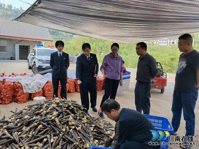 纳溪区法院：土地流转起纠纷  司法护航保春耕