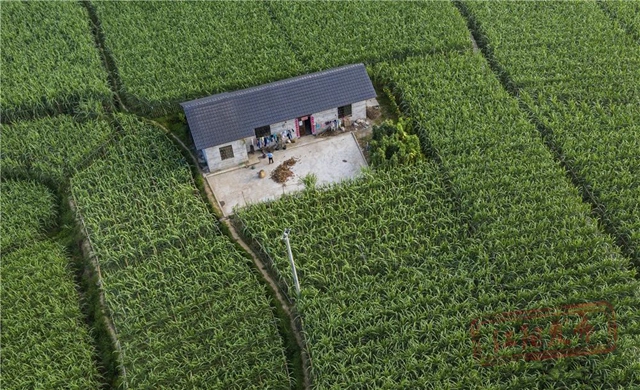 打卡公交179路,寻觅一方酒城美好~(图1) 微信图片_20240412103520.jpg