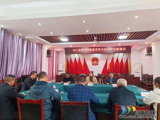 合江县：一体化布局加快推动三级劳务服务体系建设