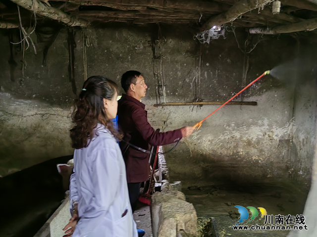 龙马潭区鱼塘街道扎实有序开展春季动物疫病防控工作