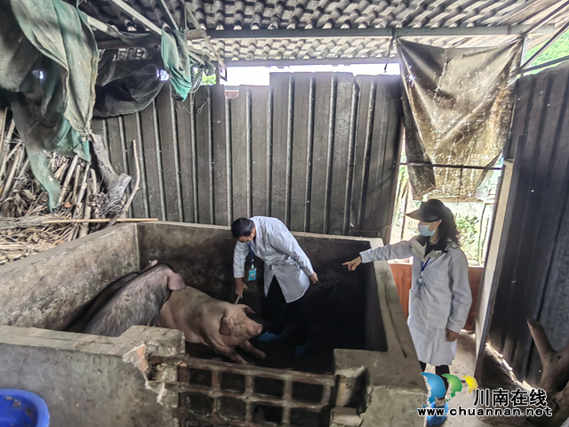 鱼塘街道春季动物疫病防控工作扎实有序开展(图2) 图片2.png