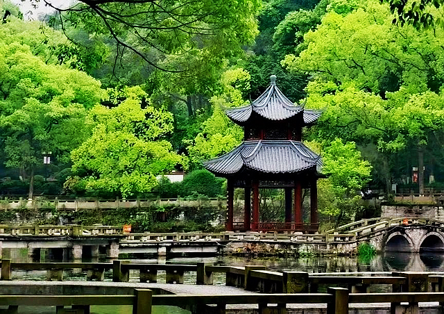 “公园20分钟效应”真的管用!和巴妹儿一起去泸州这些公园~(图3) nEO_IMG_3.jpg