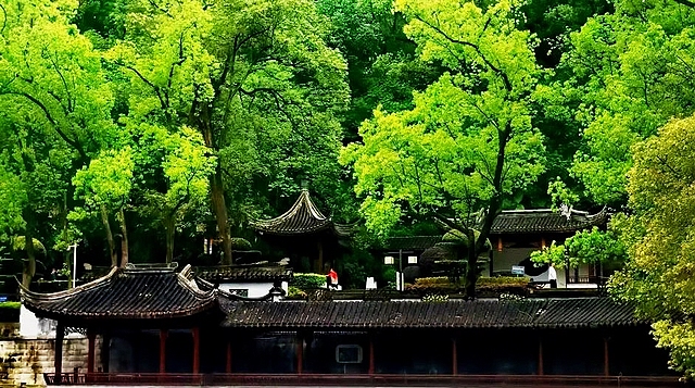 “公园20分钟效应”真的管用!和巴妹儿一起去泸州这些公园~(图4) nEO_IMG_4.jpg