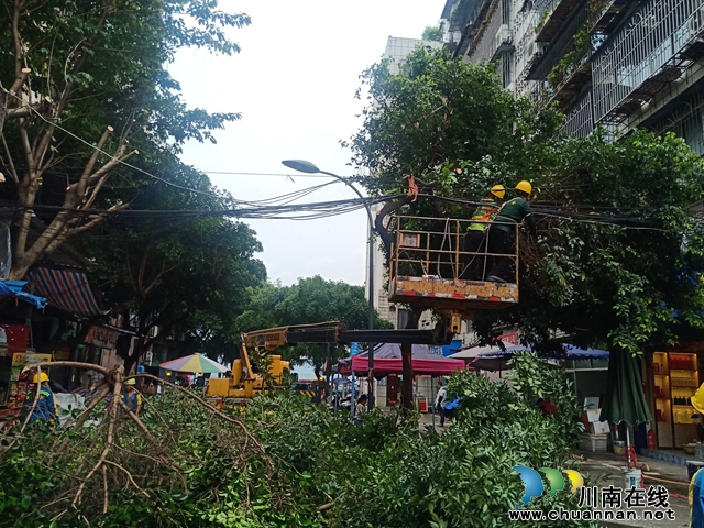 小市街道下大街社区: 树木修枝消隐患 解群众急难愁盼(图2) 3.jpg