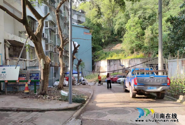江阳区北城街道濂溪路社区：修剪树木，排危解难