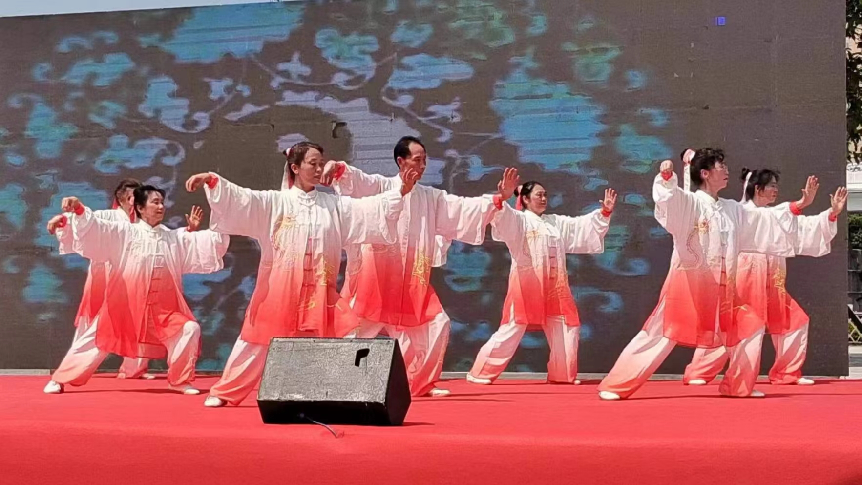 泸县老体协组队为劳模表彰会文艺义演