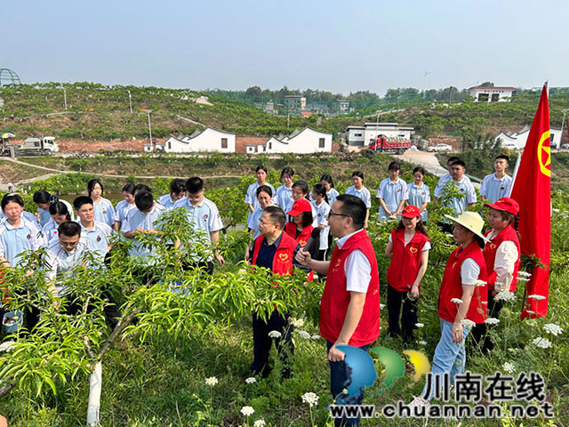 志愿服务入田间 疏果助农暖人心┃泸县一中开展“疏果助农”劳动实践活动