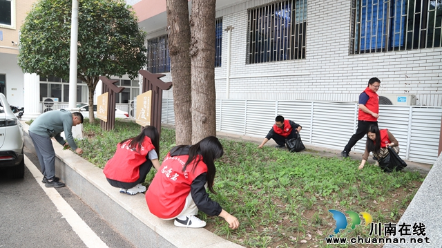 泸县云龙镇召开“五四青年节”青年干部座谈会