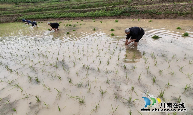合江县先滩镇组织人大代表开展视察调研活动