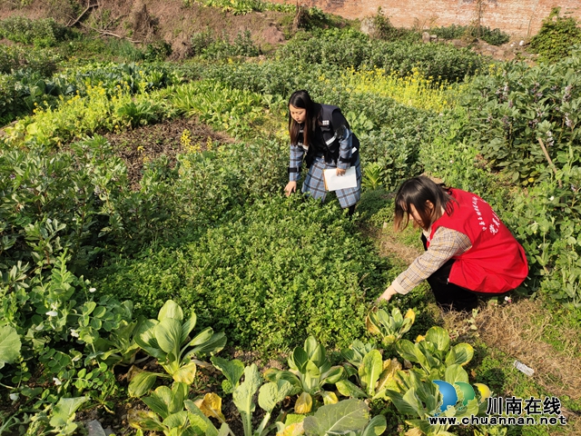 泸县玉蟾街道：全面强化禁毒宣传与踏查 守护无毒绿色家园