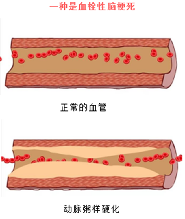 微信图片_20240515093359.png