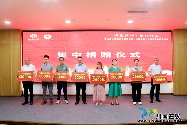 龙马潭：企业乡贤献爱心 助力乡村振兴