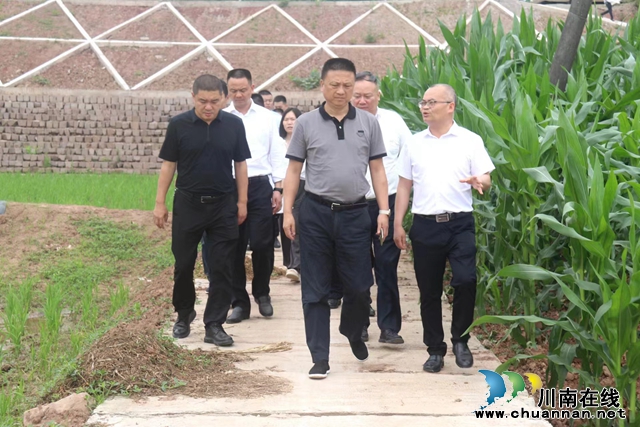 王晓谦率队到泸县百和镇调研“巴蜀鱼米之乡”建设情况