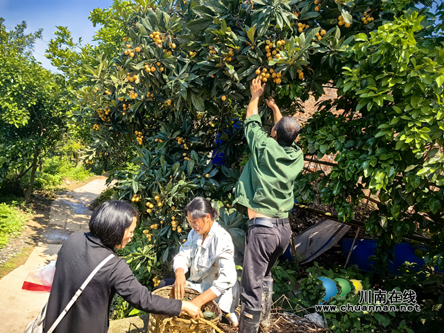 合江：检测农药残留 保障舌尖安全