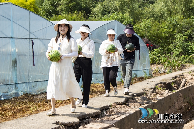 泸县玉蟾街道：好“西”登场  清甜一夏