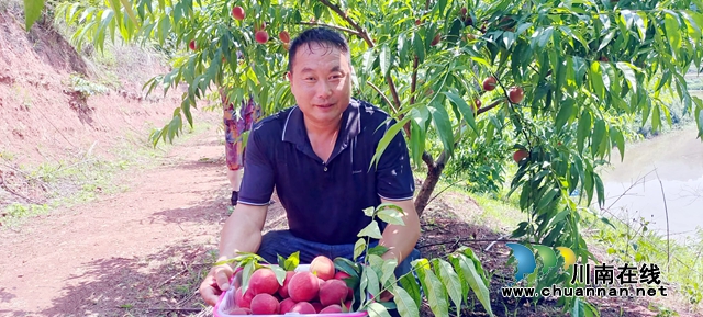 江阳区方山村：打造“寺外甜园”，让“空壳村”变“幸福村”