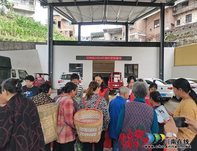 合江县甘雨镇开展秸秆禁烧普法宣传活动