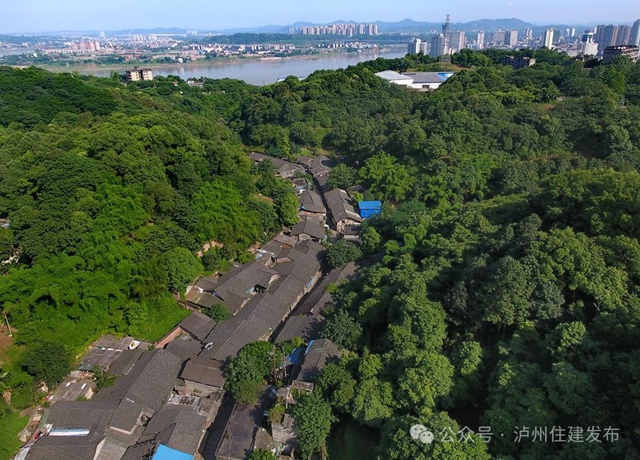 规范历史风貌建筑修缮补助资金管理，请你提意见