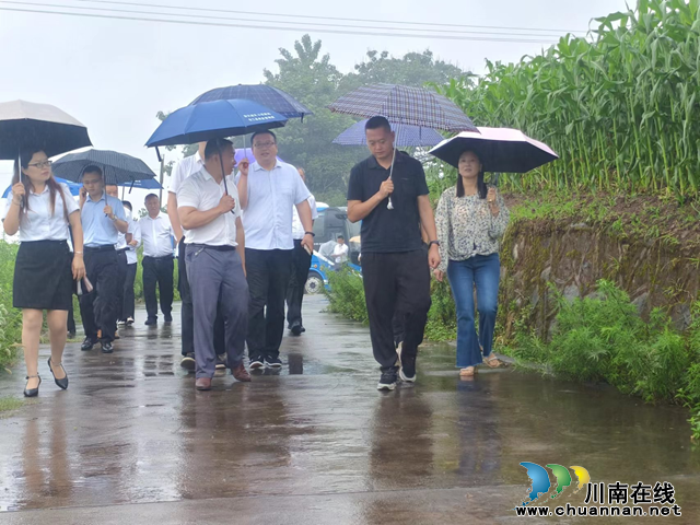 合江县福宝镇：人大代表走出去，把先进发展经验引进来