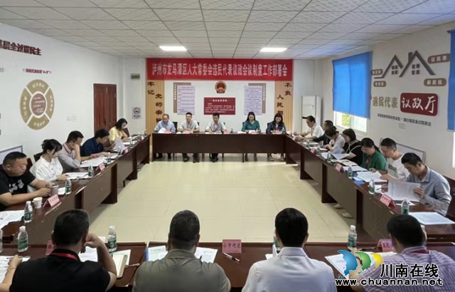 龙马潭：街道选民代表议政会议制度 | 畅通基层民主“最后一公里”