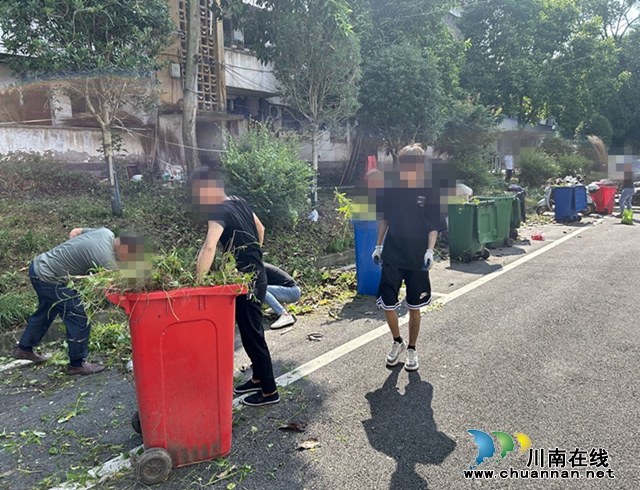 合江县白米司法所开展“别样端午·矫治同行”主题公益劳动