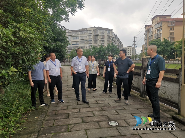 泸县云龙镇人大代表视察2024年度民生实事项目推进情况