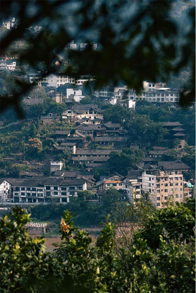 古蔺四个4A景区及其他景区官宣福利！