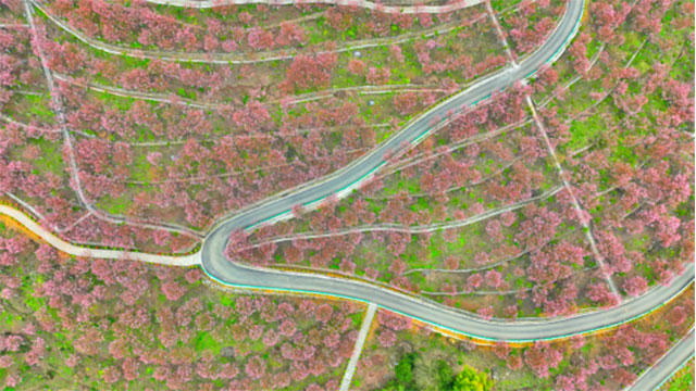 古蔺四个4A景区及其他景区官宣福利!(图7) 7.jpg