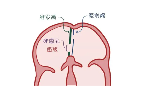 微信图片_20240701090741.png