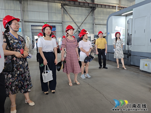 龙马潭区小市街道政协小组开展特色优势产业头部企业集中视察活动