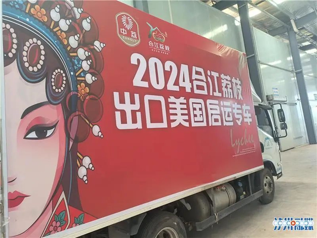 全省首批，4吨合江荔枝“甜”到美国