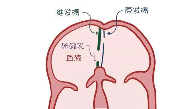 微信图片_20240730100706.jpg