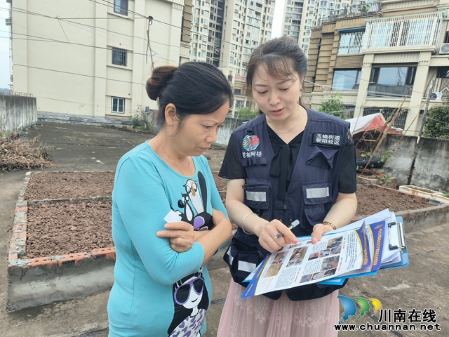 泸县玉蟾街道开展禁种铲毒踏查及宣传行动