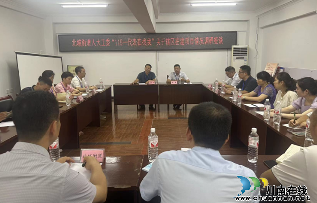 江阳区北城街道“115—代表在找我”组织开展在建项目情况调研