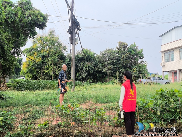 龙马潭区鱼塘街道：森林防火进村庄，村民防范意识强