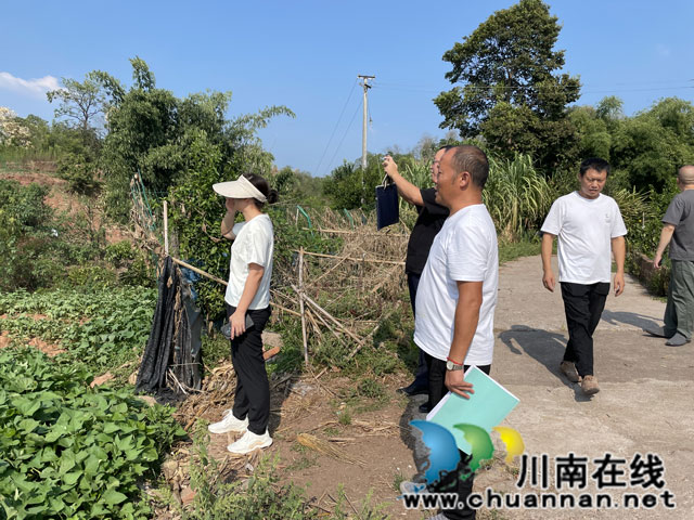 节前敲警钟  安全不放松┃江阳区自然资源和规划分局开展节前储备土地安全督查工作