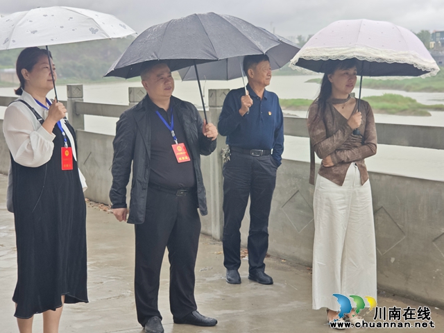 龙马潭区小市街道：人大代表视察水利项目 助力水清岸绿宜居梦