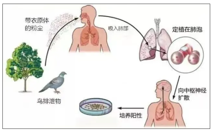 QQ浏览器截图20241023101300.png