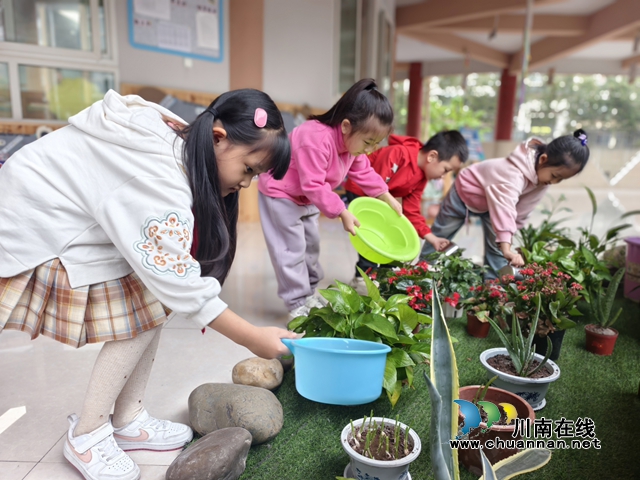 泸县城东幼儿园开展“勤俭始于心 节约践于行”教育活动