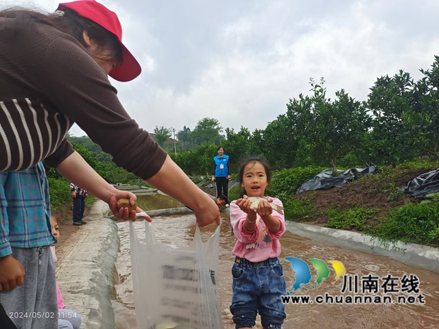 图3：小朋友甜橙园体验到捉鱼的快乐.jpg